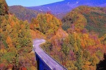 中津川橋　nakatugawa bridge05